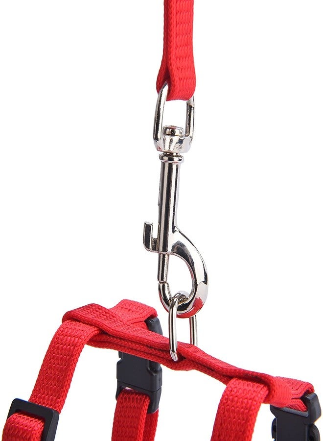 Pups&Pets Nylon Harness Leash Set for Cat Kitten and Small Pet Nylon Harness Strap Collar | Cat Training Leash (Plain, Red) - Image 5